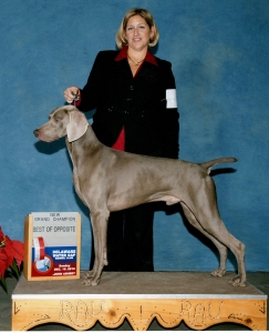 2010 12 19_Sawyer GCH