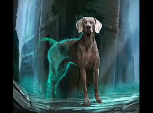 blink dog color